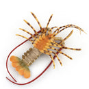 Realistic Solid Underwater World Animals Models Lifelike Large Size Lobster Z8P4
