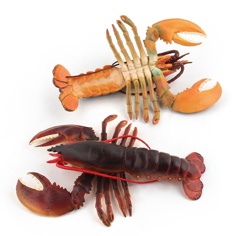 Realistic Solid Underwater World Animals Models Lifelike Large Size Lobster Z8P4
