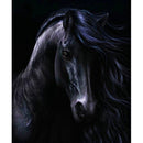 Diy Diamond Painting Black Horse Handicraft Sewing Art Embroidery Rhineston