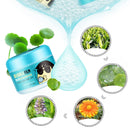 Bisutang Foam Moisturizing Whitening Oil Control Shrink Pores Skin Care Fac D7P3