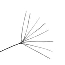 Seaknight Monster W8 300M Fishing Line Braid 8 Strands Smooth Super Line Pe I2T7