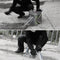FREE SOLDIER AI0037 Tactical Pen Outdoor EDC Collection Emergency Safe Escape Flashlight Pen