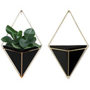 Geometric Wall Planter , Decorative Hanging Planters Wall Decor Frame, Mode