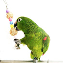 1X(6 Pieces Bird Swing Toys Bell Colorful Natural Wood Hammock Hanging Perc
