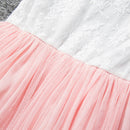 Children's Party Dress Girl Lace Flower Children's Pettiskirt Dress Childre