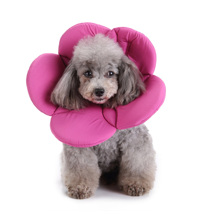 Pet Collars Protective Hood Anti-Bite Anti-Scratch Neck Protection Pet Dog Collar