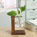 Tabletop Desk Decor Bulb Glass Hydroponic Vase Flower Plant Pot  Wooden Tray Hydroponic System