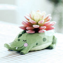 Plant Pot Cartoon Succulent Plant Pots Bonsai Planter Home Office Decor-Cro