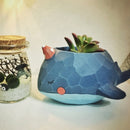 Plant Pot Cartoon Succulent Plant Pots Bonsai Planter Home Office Decor-Cro