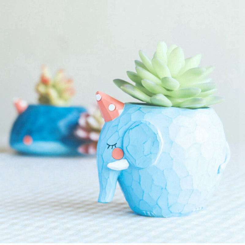 Plant Pot Cartoon Succulent Plant Pots Bonsai Planter Home Office Decor-Cro