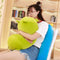 60CM Chubby Cute Soft Kawaii Animal Kid Stuffed Plush Toys Pillow Cartoon Cushion