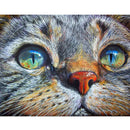 Full Drill Square Diamond 5D Diy Diamond Painting"Cat Face"Diamond Embroide A2U2