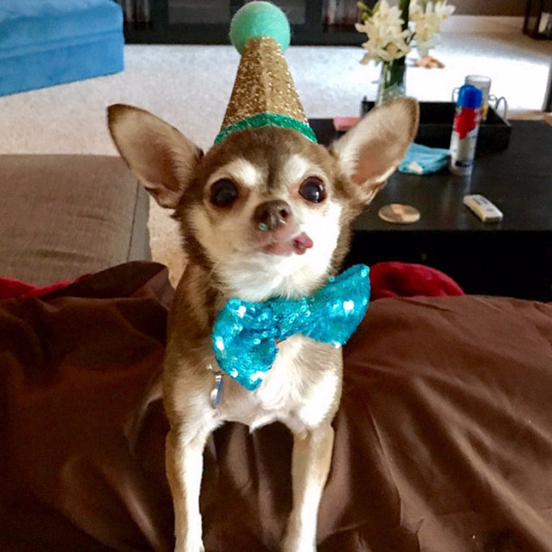 2Pcs/Set Sequin Birthday Pet Cat Dog Cap+Bowknot Tie Costume Headwear Pet A I1M2
