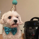 2Pcs/Set Sequin Birthday Pet Cat Dog Cap+Bowknot Tie Costume Headwear Pet A F2U7