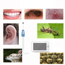 Household 4.3-inch HD Screen 2 Megapixel Dental Visible Endoscopy with Screen Oral Endoscopy Dental Tools