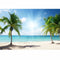 Vinyl Background Cloth Photography Palm Beach Sunshine Studio Backdrop