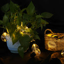 2.5M 5M AC220V Outdoor Waterproof Warm White LED Globe Bulb String Light for Patio Garden Home Decor