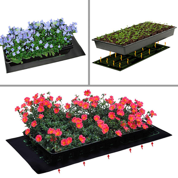 AC220V Propagation Seedling Heat Mat Seeds Plant Pad Germination Reptile Med 50cm x 25cm