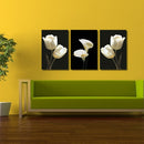 Miico Hand Painted Three Combination Decorative Paintings Botanic White Flower Wall Art For Home Decoration