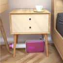 LyRay N9 Portable Electric Clothes Shoe Dryer Fan Heater Bed Warmer Garment Mites Killer for Home