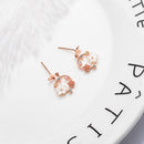 Flower Earrings Female Style Temperament Shell Small Fresh Earrings Girl EarM2R7