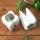 7x10cm Tooth Shape Flower Pot Succulent Plant Storage Ceramic Gardening Potted Creative Home Decor