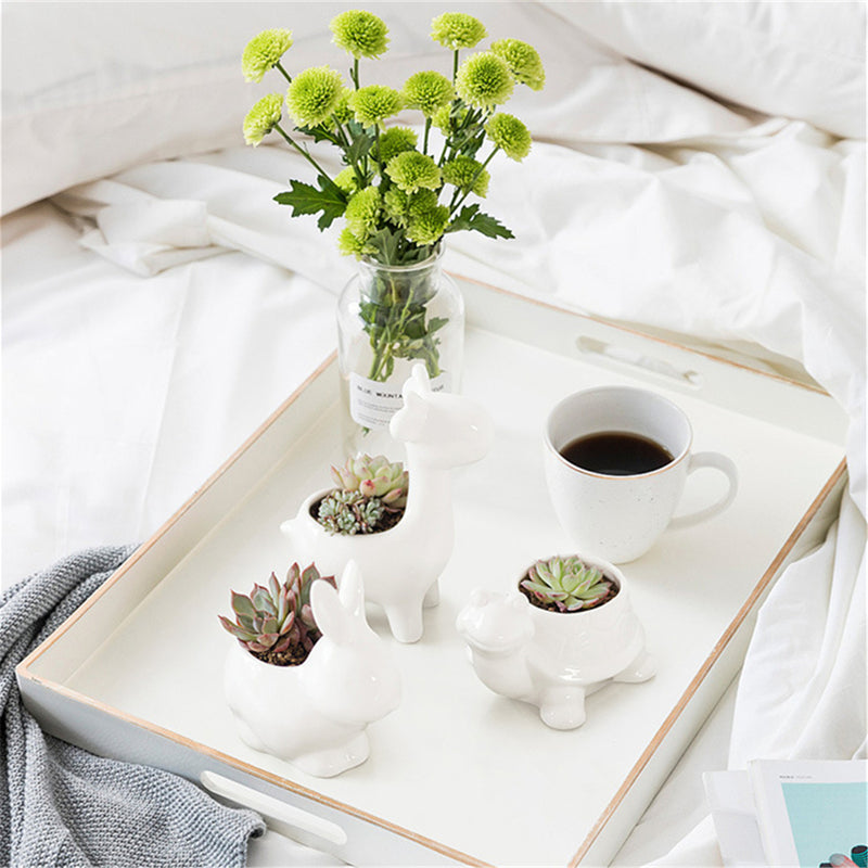 Ceramic Succulent Plant Container Flower Pot Planter Holder Vase Animal Shape Decorations