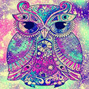 5D Diamond Painting By Number Kits,Crystal Rhinestone Diamond Embroidery Pa