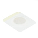 Natural Chinese Herbal Magnetic Therapy Body Slimming Toxin Patch Anti-Cellulite Weight Loss