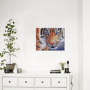 Animal Diamond Embroidery 5D Diy Diamond Painting Tigers Cross Stitch Parti