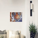 Animal Diamond Embroidery 5D Diy Diamond Painting Tigers Cross Stitch Parti