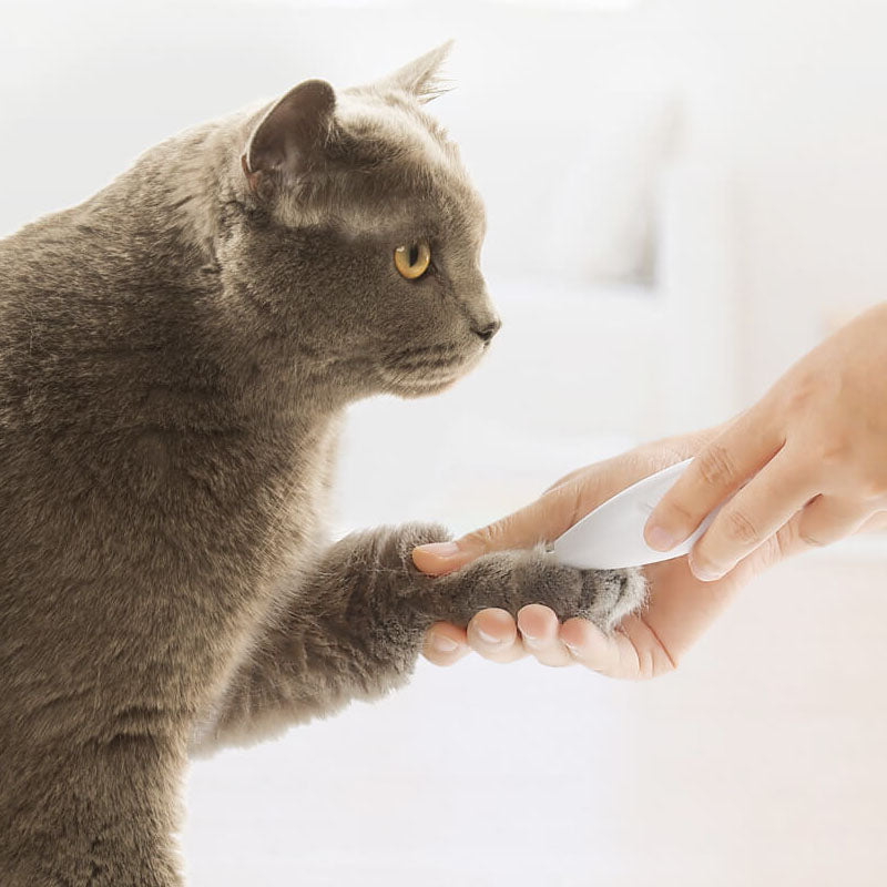 Powbby MG-FP001 Pet Hair Shaver Safety Cutter Head Low Noise Dog Hair Precise Trimmer Pet Hair Grooming From Xiaomi Youpin