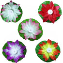 5-Color Led Colorful Lotus Lamp Creek Wishing Lamp Lotus Floating Flower-Sh