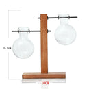 Hydroponic Plant Display Bulb Vase In Wooden Flower Pots Plant Glass ContainA1M7