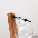 Hydroponic Plant Display Bulb Vase In Wooden Flower Pots Plant Glass ContainA1M7
