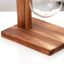 Hydroponic Plant Display Bulb Vase In Wooden Flower Pots Plant Glass ContainA1M7