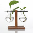 Hydroponic Plant Display Bulb Vase In Wooden Flower Pots Plant Glass ContainA1M7