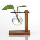 Hydroponic Plant Display Bulb Vase In Wooden Flower Pots Plant Glass ContainA1M7