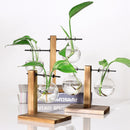Hydroponic Plant Display Bulb Vase In Wooden Flower Pots Plant Glass ContainA1M7