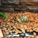 Reptile Pet Heating Pad Film With Temperature Control Switch Waterproof Anti-electric Shock Spider Tortoise Lizard Dog Cat Rabbit Winter Warmer Heater
