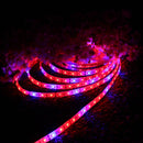 DC12V 0.5M/1M/2M/3M/4M/5M 5050SMD Waterproof Red:Blue 4:1 Full Spectrum LED Strip Grow Plant Light