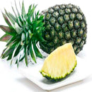 Egrow 100 Pcs/Bag Pineapple Seeds Dwarf Pineapple Plantas Tree Fruit Rare Bonsais Plant Bonsai For Home Garden Decoration