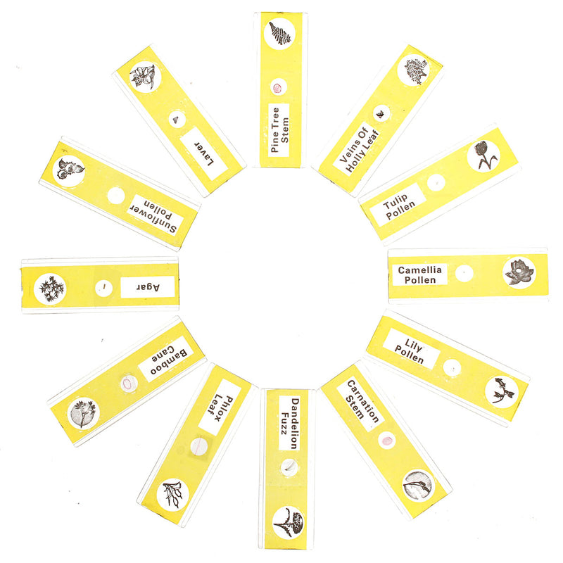 1 Box 12pcs Animals Insects Plants Flowers Plastic Prepared Microscope Slides