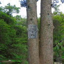 Trail Game Camera, Pr200B Hd 1080P Waterproof Hunting Camera,Multifunctiona