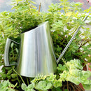 2X(400Ml Stainless Steel Watering Can Brushed Garden Planting Sprinkler Pot