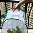 Collapsible Butterfly Habitat Cage Net Terrarium Pop-Up Open - 23.6 Inches
