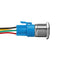 19mm Metal Self-locking Switch 12V LED 5Pin ON-OFF Push Button Switch With Wire Waterproof