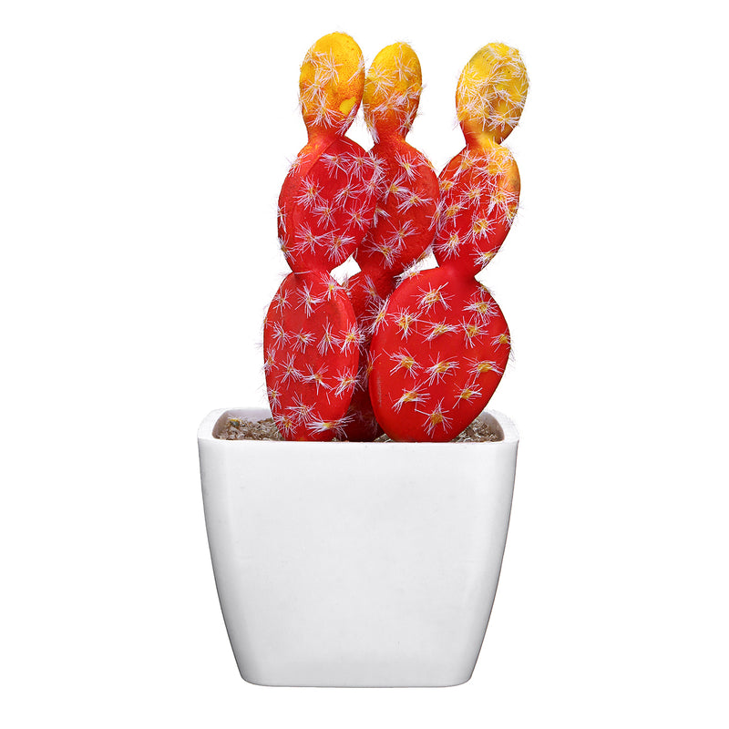 Simulating Cactus Bonsai and Simulating Creative Car Ornaments of Mock Succulents Plants