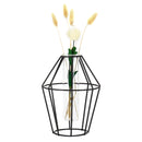 Glass Test Tube Flower Plant Pot Vases Fairy Hydroponic Vase Terrarium Container