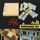 Bee Queen Rearing Cell Cupkit Box Case For Cupularve System Beekeeping Tools Set